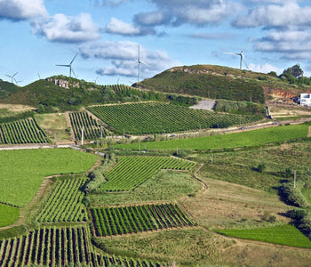 Lisboa e Vale do Tejo