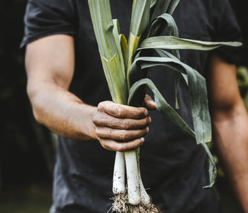 BIO • LOCAL • SAZONAL