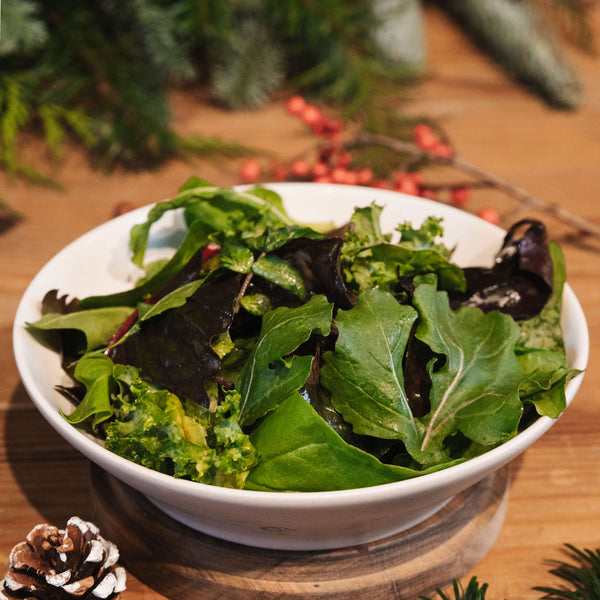 Salada Biológica de Folhas da época