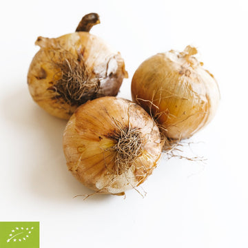 Cebola 1Kg