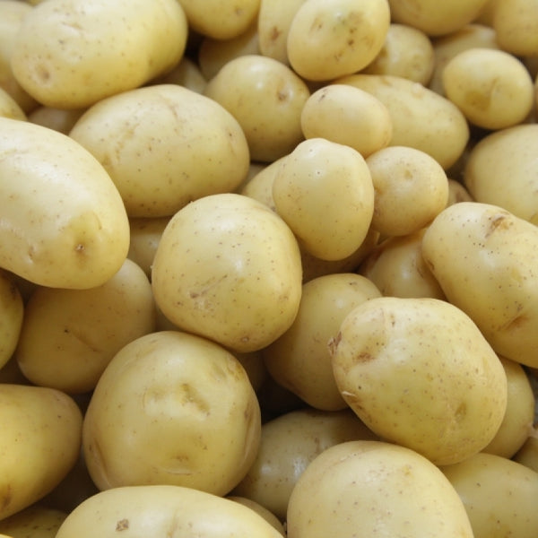 Batata Cambuta Kg
