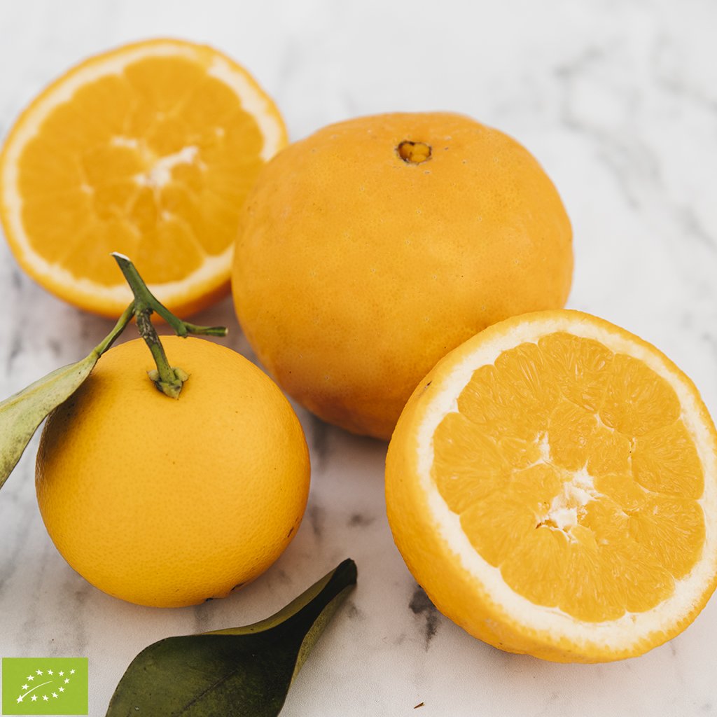 Laranja Bio 1kg